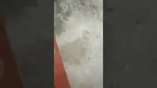 Цього Білоруса можна слухати вічно!