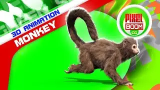 Green Screen Monkey Real Fur 3D Animation PixelBoomCG