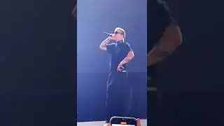 Pharaoh- Дико например 💣