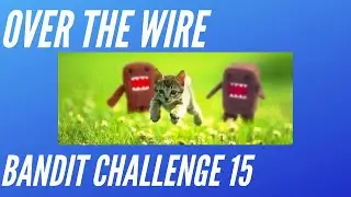Over The Wire Bandit Wargame Level 15 Tutorial and Walkthrough