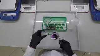 5. Микроскопирование