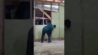 Утепляю внутреннюю перегородку гаража...