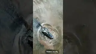 Lurking underwater