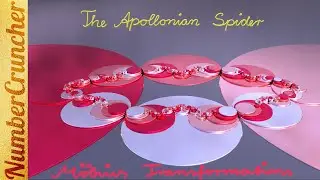 The Apollonian Spider IV - Möbius Transformations