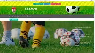 Primeros Pasos con RINweb