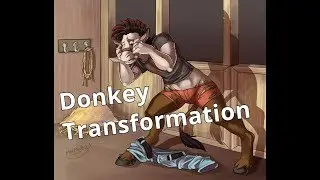 Donkey Transformation / Donkey TfTg