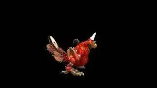 Chicken Like Creature Dancing