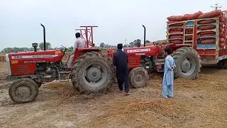 MF 385 Pullout loaded trolley -Millat tractors-MF385|Massey Ferguson 385 (85HP)-Bull Power 577