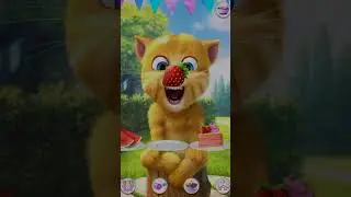 Tallking Ginger Cat