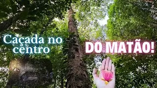 Hunting in the heart of Matão!