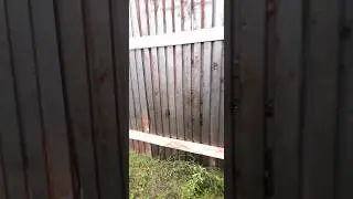 Первые ошибки при строительстве.