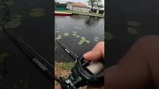 when you lose a fish after hours of trying 🤣 #fishing #pike #pikefishing #lurefishing #shimano