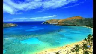 The Wildbunch - Honolulu        [Electric Six]