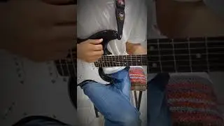 Любовь моя - Элли на маковом поле