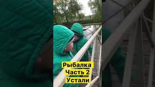 Кто достанет лягуху? Часть 2)