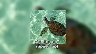 Aldattın mı?~speed up~ [Dolu kadehi ters tut]