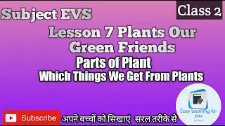 Class 2 EVS Lesson 7 Plants Our Green Friends । Parts of Plant। Which Thing We Get From Plants ।