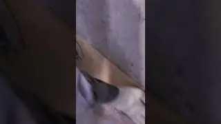 Шумоизоляция пола Шумостоп 