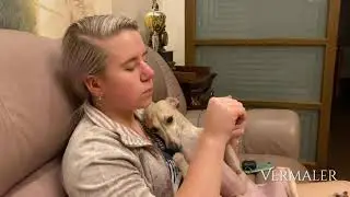 🐕Процесс подстригания когтей левретки