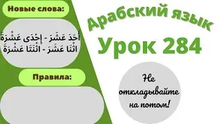 Начните сейчас! Арабский язык для начинающих. Урок 284