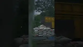 Relaxation Video Suasana Bangun tidur pagi di desa