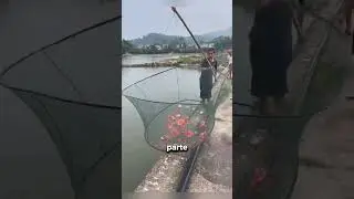 Novo jeito de pescar 🎣