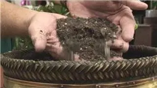 Beginners Vegetable Gardening : How to Begin an Indoor Garden