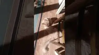 Уходят солнечные дни
