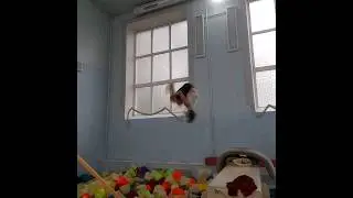 Нормальная двушка, но резкости не хватает сильно