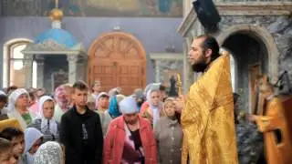 Проповедь отца Игоря 2 июля 2017 г.