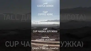 Арабизмы в Английском языке