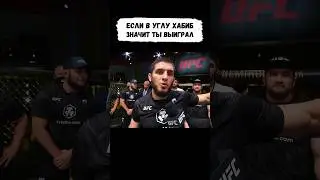 Бразилец ВЫИГРАЛ ХАБИБА, но Махачев ОТОМСТИЛ спустя 6 лет 