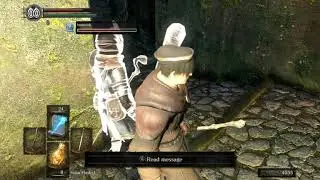 Autistic Dark Souls co-op.