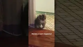 Сая наелась