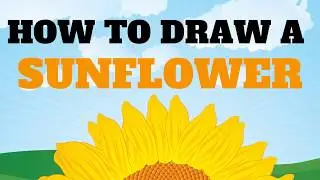 How To Draw A Sunflower