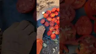 Harman yeri yemeği!