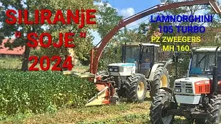 Siliranje Soje Crveno Bela kombinacija u Akciji LAMBORGHINI & PZ ZVEEGERS MH 160 & STEYR 8075 RAPID