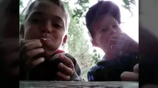 ПУХЛЫЙ КРОЛИК ЧЕЛЕНДЖ чапи бани