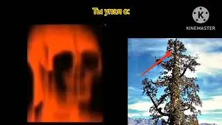 Мистер Исключительный: ты упал с