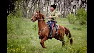 Ой, то не вечер