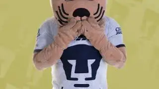 Omg!