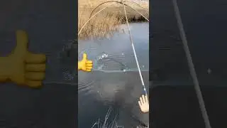 Рыбалка на паук! Вот она родимая!