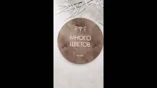 Партнер Многоцветов. Демонстрация платежа в ТСП.