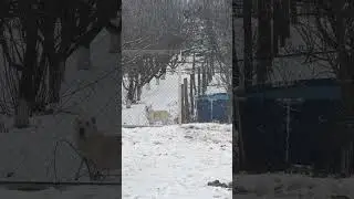 Подпишитесь добрые люди пожалуйста обнял 🫂 всех спасибо хорошей жизни вам ❤️🙌 