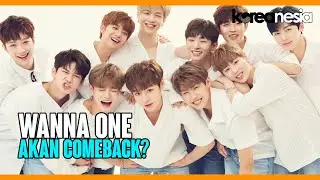 Wanna One Akan Comeback?