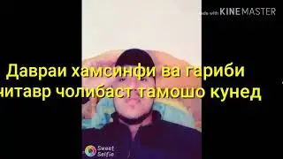 Гариби 2019