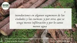 EL AGUA-CONCIENCIA AMBIENTAL