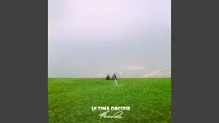 Ultima decizie