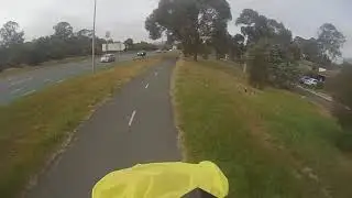 Swooped twice on my morning commute...