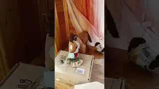 Продолжение на канале